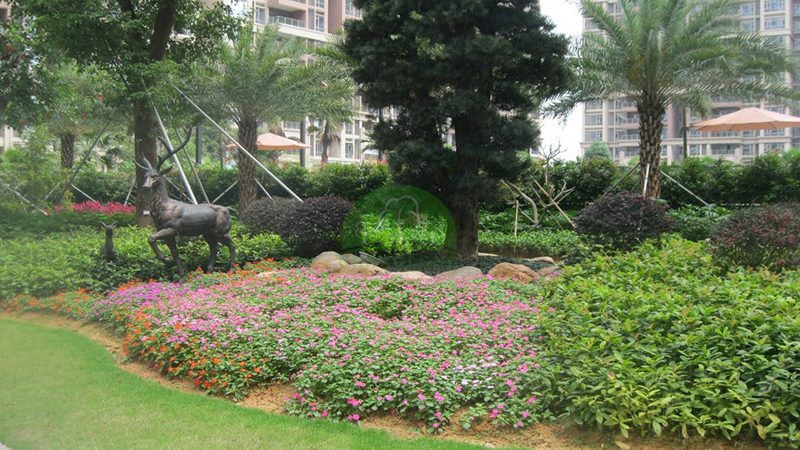 日式庭院砾石与植物组合：打造静谧禅意的空间美学**