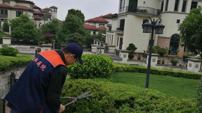 市政绿化苗木规格：标准解读与选购要点