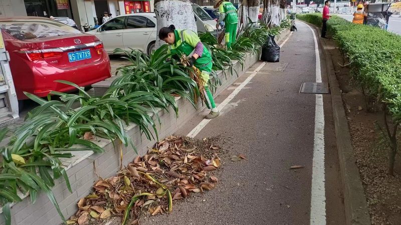 生态墙制作：价格背后的考量因素**