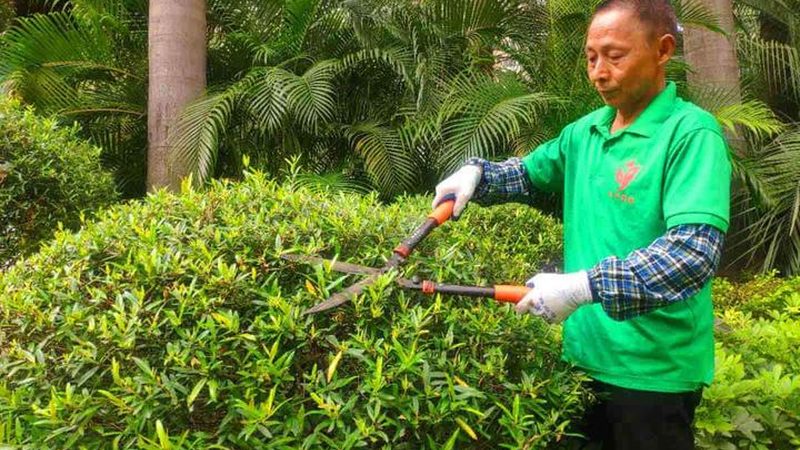 别墅庭院设计施工，如何选择专业公司？**