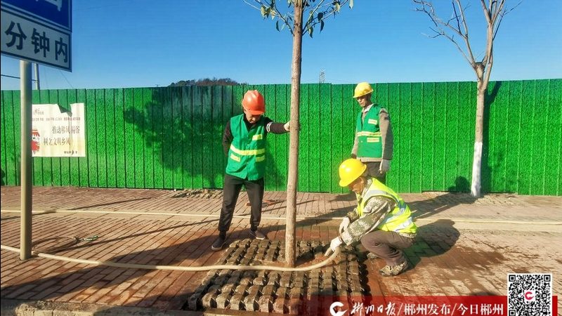 厂区绿化土建施工，如何确保一步到位？**